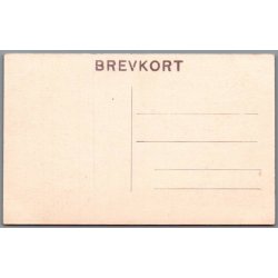 Viborg - Interi�r fra Museet - Postkort - Ubrugt