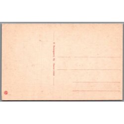 Viborg - Museet - Postkort - Ubrugt