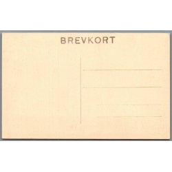 Viborg - Museet - Marsvinlund Vognen - Postkort - Brugt