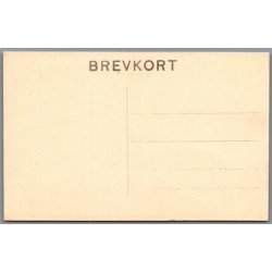 Viborg - Museet - Renaissancestuen - Postkort - Ubrugt