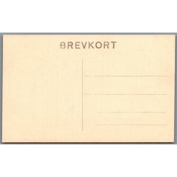 Viborg - Museet - Viborg Stuen - Postkort - Ubrugt