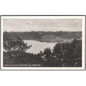Viborg - Dollerup Bakker og Hald S� - Postkort - Brugt
