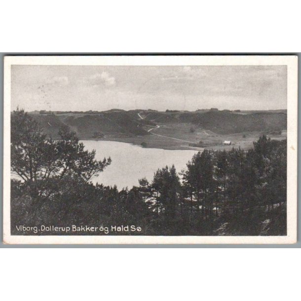 Viborg - Dollerup Bakker og Hald S� - Postkort - Brugt
