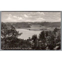 Viborg - Dollerup Bakker og Hald S� - Postkort - Ubrugt