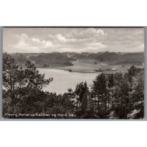 Viborg - Dollerup Bakker og Hald S� - Postkort - Ubrugt