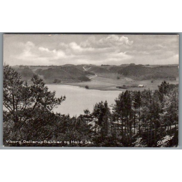 Viborg - Dollerup Bakker og Hald S� - Postkort - Ubrugt