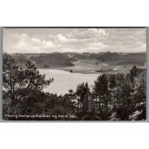 Viborg - Dollerup Bakker og Hald S� - Postkort - Brugt