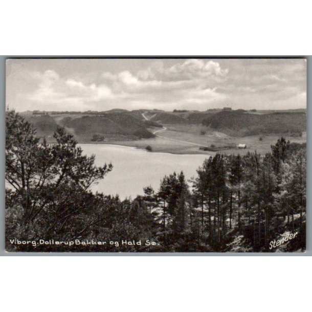 Viborg - Dollerup Bakker og Hald S� - Postkort - Brugt