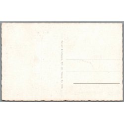 Viborg - Udsigt fra Dollerup Bakker - Postkort - Ubrugt