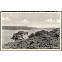 Viborg - Udsigt fra Dollerup Bakker - Postkort - Ubrugt