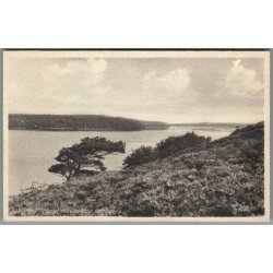 Viborg - Udsigt fra Dollerup Bakker - Postkort - Ubrugt