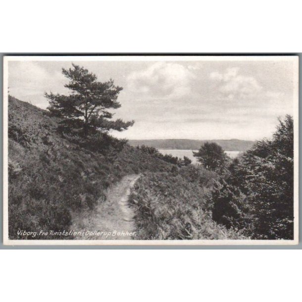 Viborg - Fra Turiststien i Dollerup Bakker - Postkort - Ubrugt