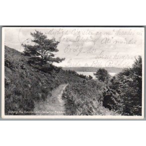 Viborg - Fra Turiststien i Dollerup Bakker - Postkort - Brugt