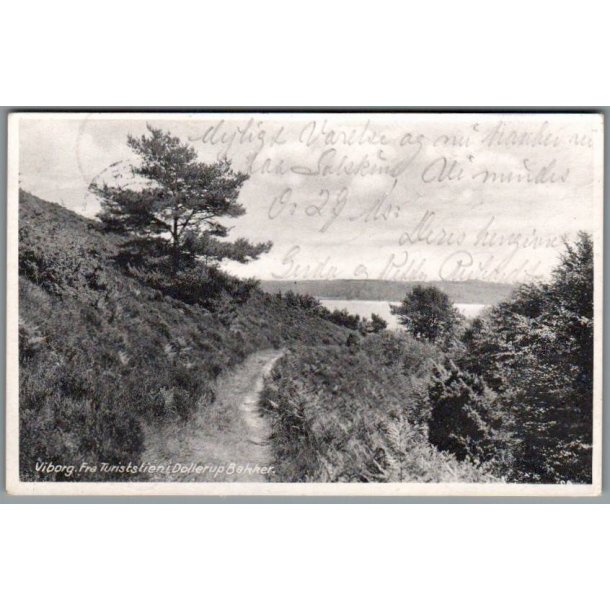 Viborg - Fra Turiststien i Dollerup Bakker - Postkort - Brugt