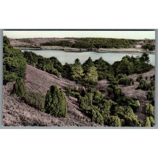 Dollerup Bakker - Postkort - Ubrugt