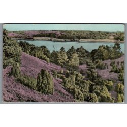 Dollerup Bakker - Postkort - Brugt