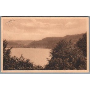 Viborg - Parti fra Dollerup Bakker - Postkort - Brugt