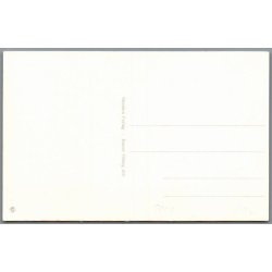 Viborg - Parti fra Dollerup Bakker - Postkort - Ubrugt