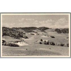 Viborg - Parti fra Dollerup Bakker - Postkort - Ubrugt