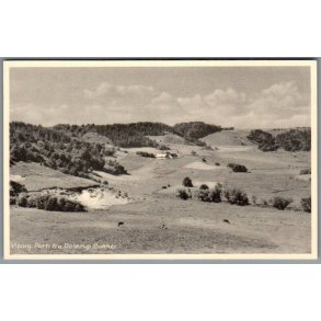 Viborg - Parti fra Dollerup Bakker - Postkort - Ubrugt