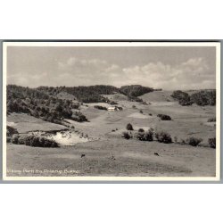 Viborg - Parti fra Dollerup Bakker - Postkort - Brugt