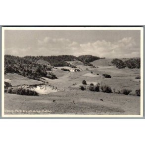 Viborg - Parti fra Dollerup Bakker - Postkort - Brugt