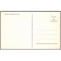 Illum - Viborg Domkirke - Postkort - Ubrugt