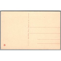 Viborg Domkirke - Postkort - Ubrugt