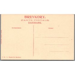 Viborg Domkirke - Postkort - Ubrugt