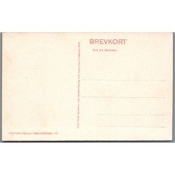 Viborg Domkirke - Postkort - Ubrugt