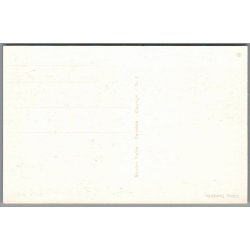 Viborg - Domkirken - Postkort - Ubrugt