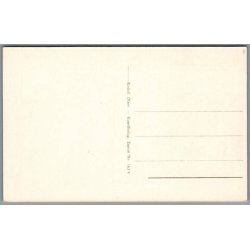 Viborg - Domkirken - Postkort - Ubrugt