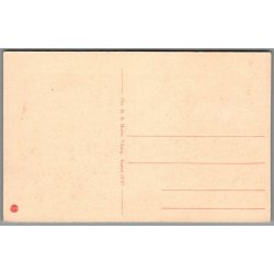 Viborg - Domkirken - Postkort - Ubrugt