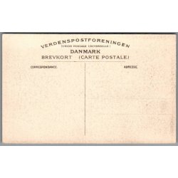 Viborg - Domkirken - Postkort - Ubrugt