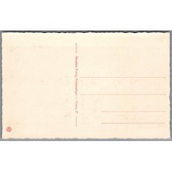 Viborg - Domkirken - Postkort - Ubrugt