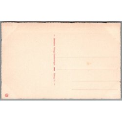 Viborg - Domkirken - Postkort - Ubrugt