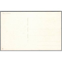 Viborg - Domkirken - Postkort - Ubrugt