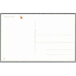 Viborg - Domkirken - Postkort - Ubrugt