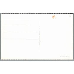 Viborg - Domkirken - Postkort - Ubrugt