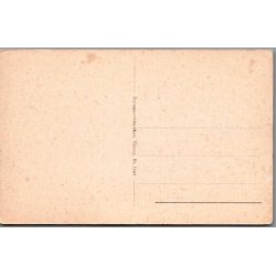 Viborg Domkirke med gl. Raadhus - Postkort - Ubrugt