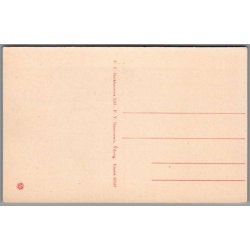 Viborg Domkirke - Indgangen til Begravelserne - Postkort - Ubrugt