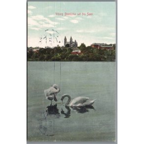 Viborg Domkirke set fra S�en - Postkort - Brugt