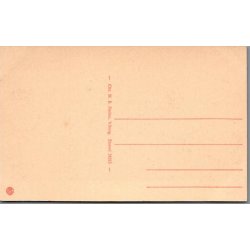 Viborg - Interi�r fra Domkirken - Postkort - Ubrugt