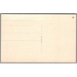 Fra Viborg Domkirke - Postkort - Ubrugt