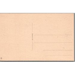 Viborg Domkirke - Postkort - Ubrugt