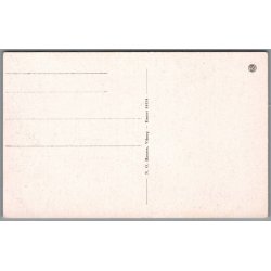 Fra Viborg Domkirke - Postkort - Ubrugt