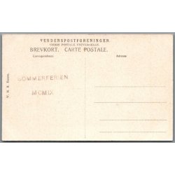 Viborg - Det indre af Domkirken - Postkort - Ubrugt