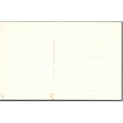 Viborg Domkirke - Postkort - Ubrugt