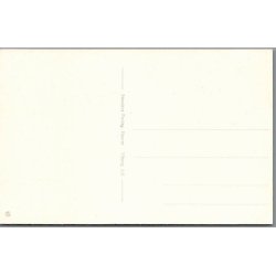 Viborg Domkirke - Postkort - Ubrugt