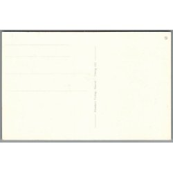 Viborg Domkirke - Postkort - Ubrugt